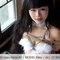 No.00433 Hairy Rabbit #3 このバニーガールが緊縛が似合うです。最初は後高手小手縛り、そして乳房縛り。